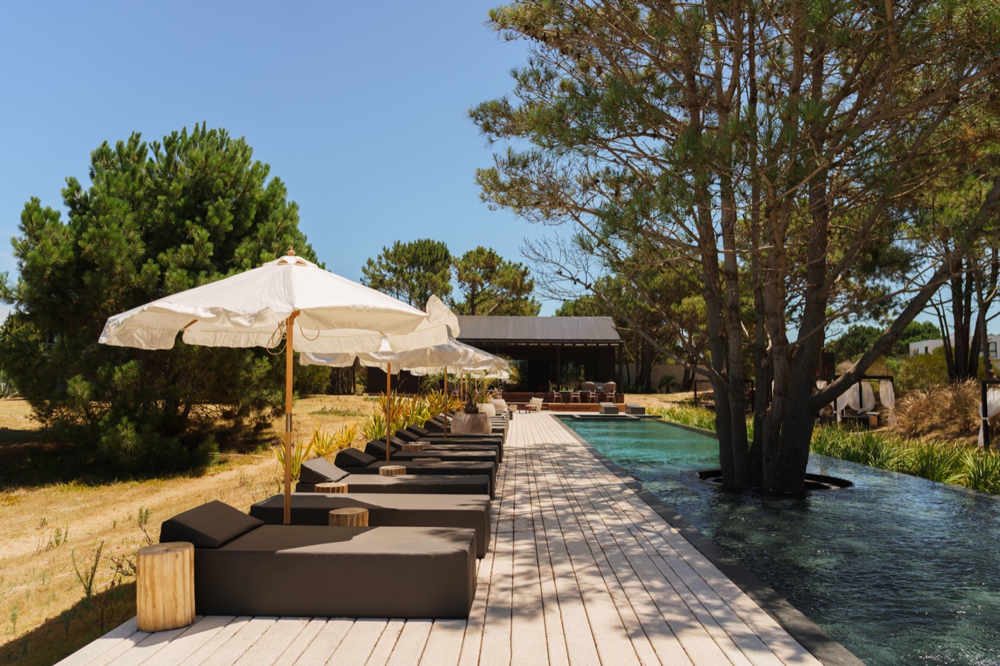 Piscina & Jacuzzi
