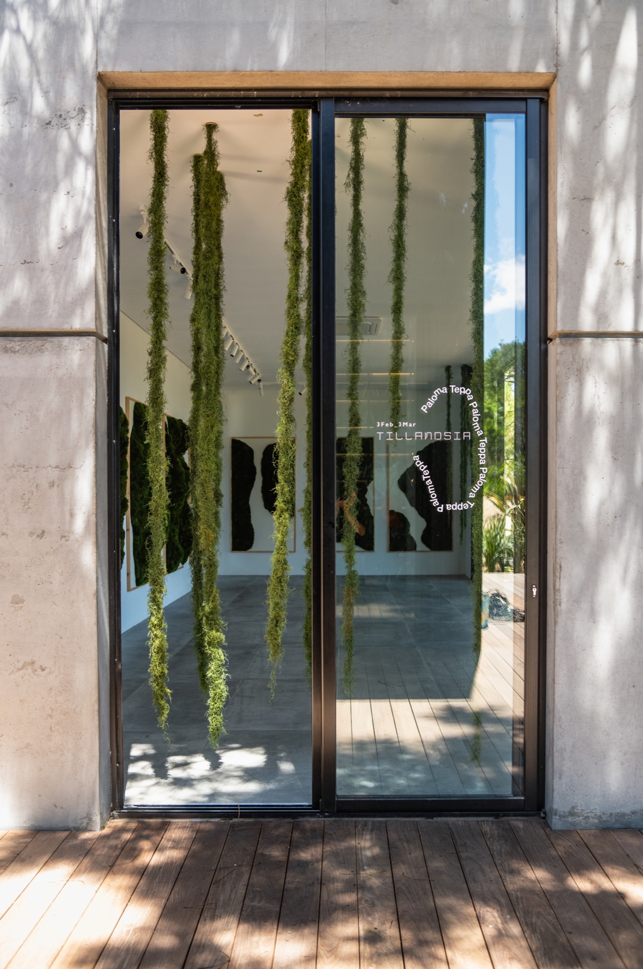 Galería Kemay